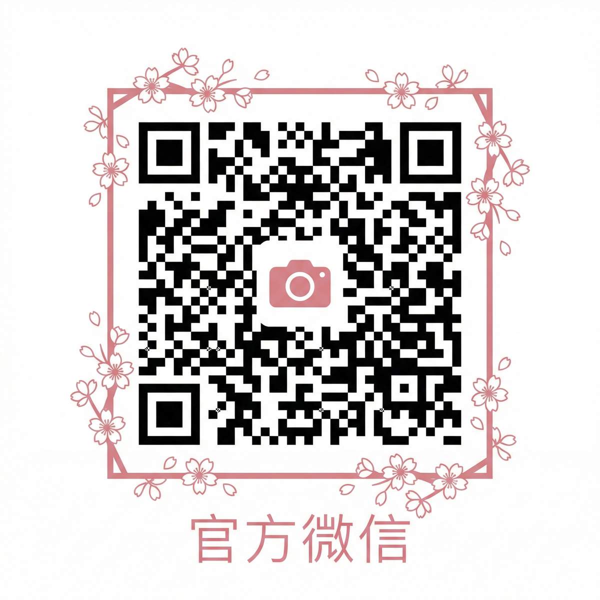 校花公众号二维码